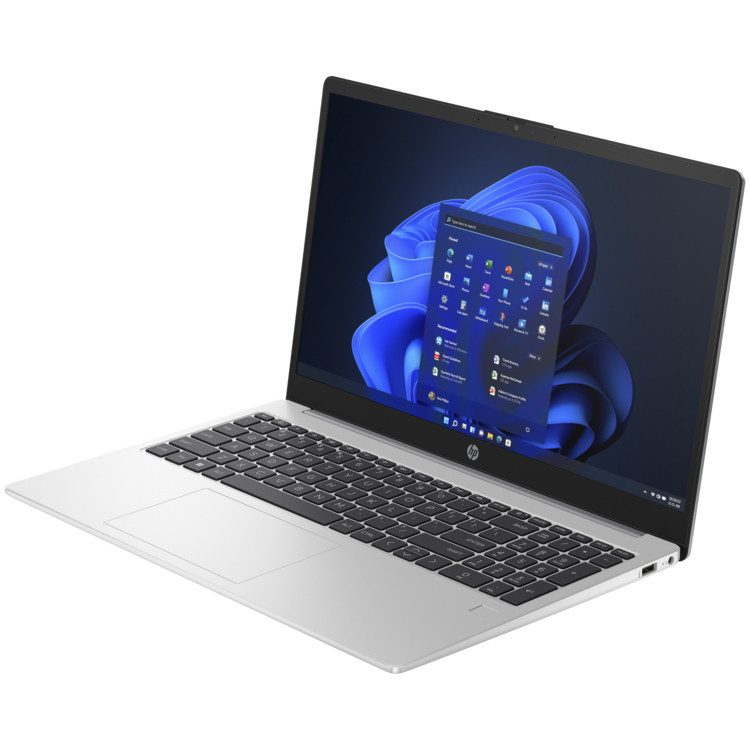لپ تاپ 15.6 اینچی اچ پی مدل G10 250-i3 1315U-24GB DDR4-1TB SSD-TN - کاستوم شده